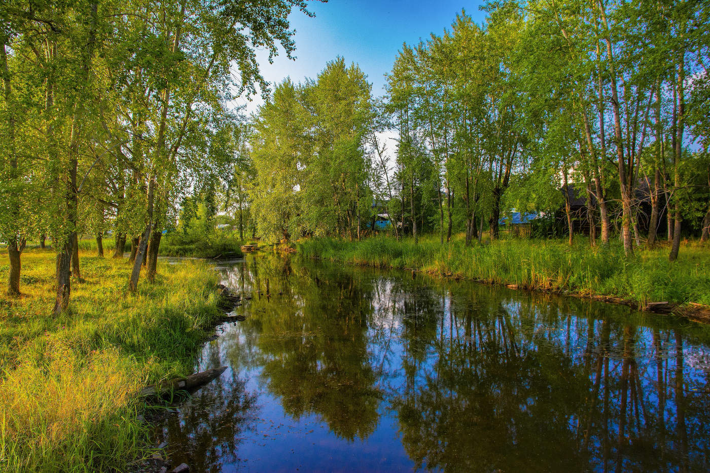 Сельский пейзаж