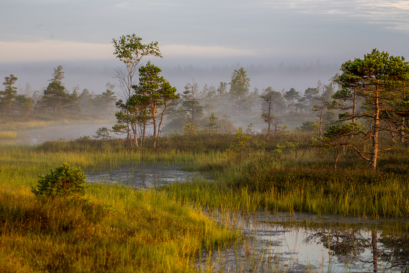 Первые приметы осени