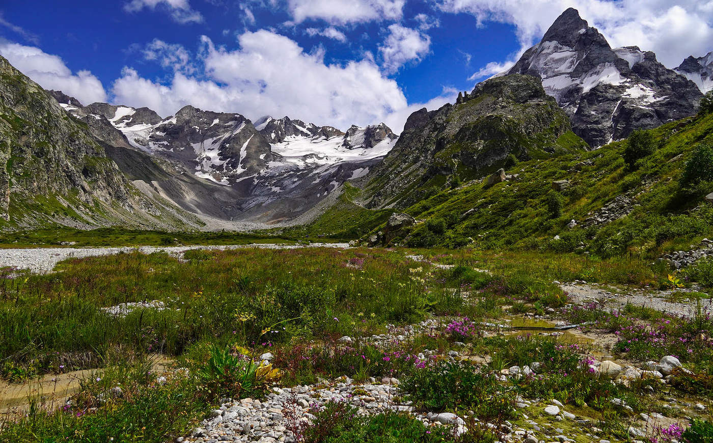 "Зеленая гостиница"
