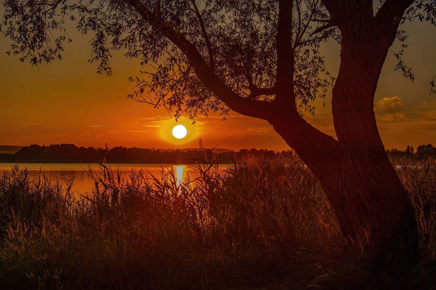 Августовский вечер.