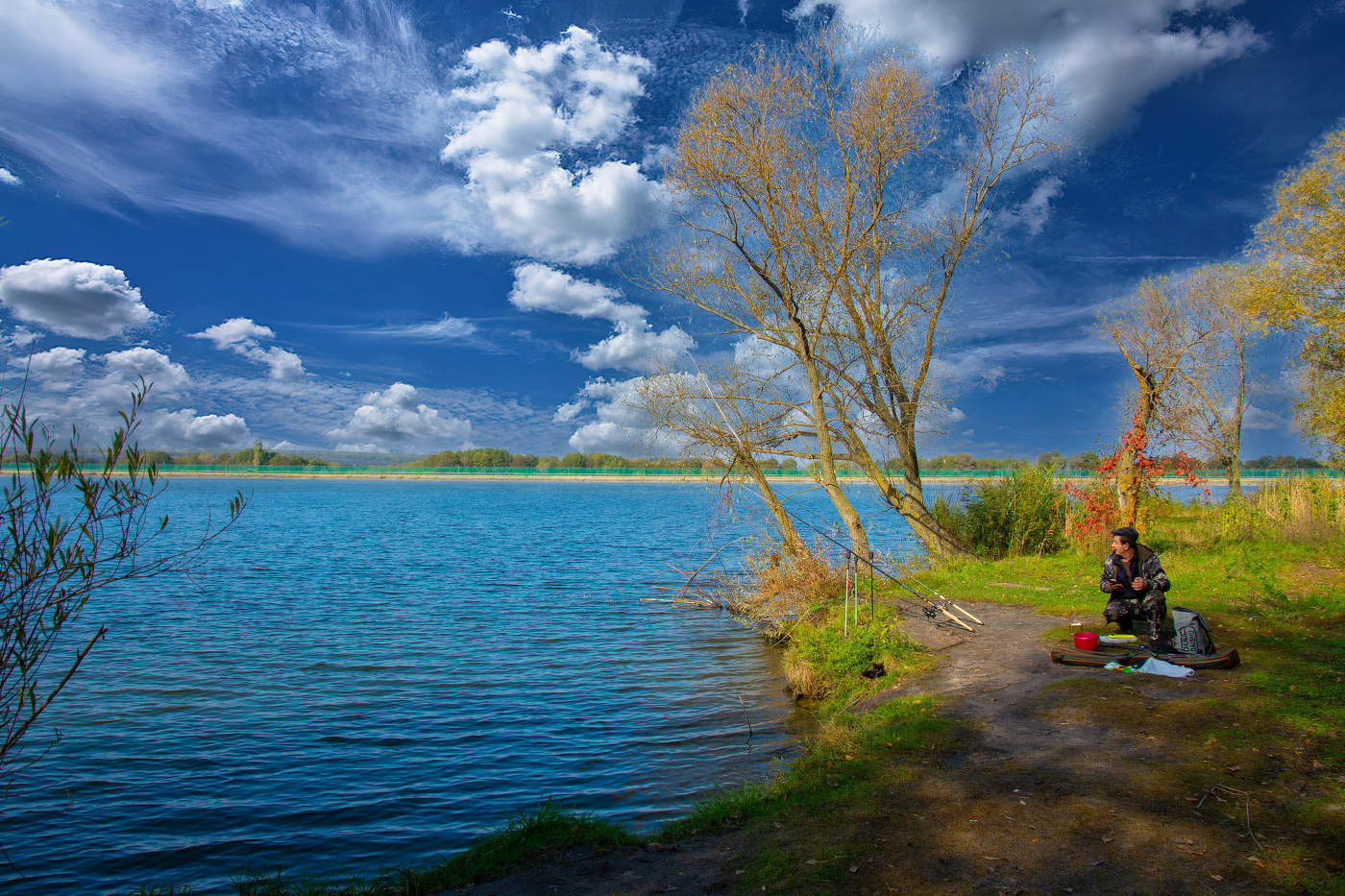 Эх, хвост, чешуя...