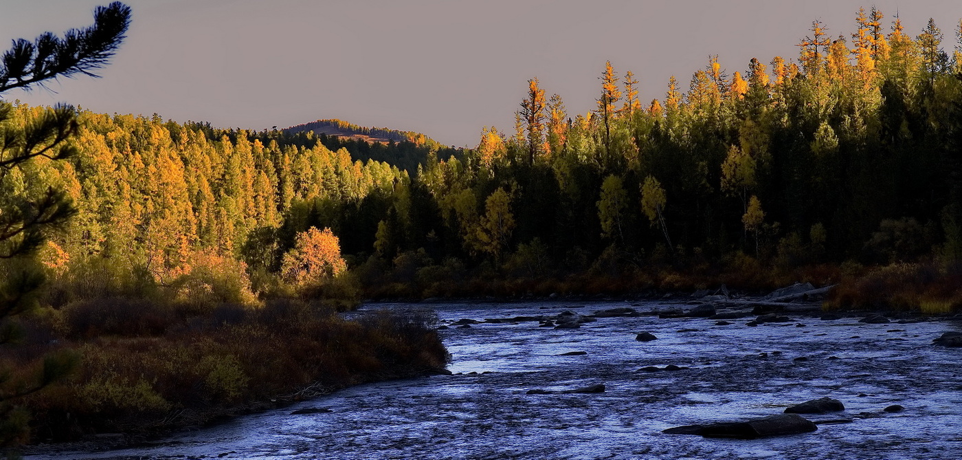 **Вечер на Мульте.*