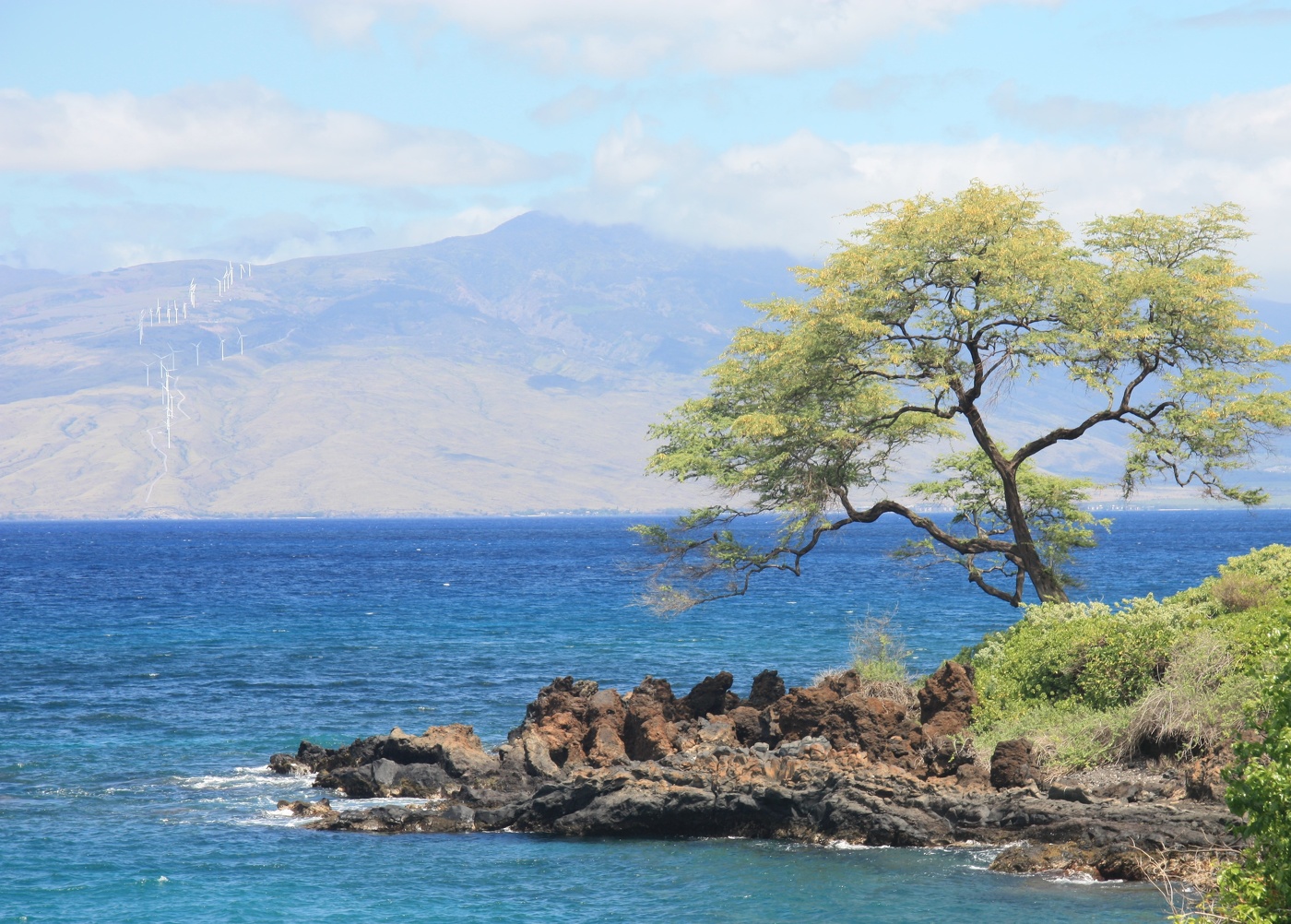 На далёких островах...