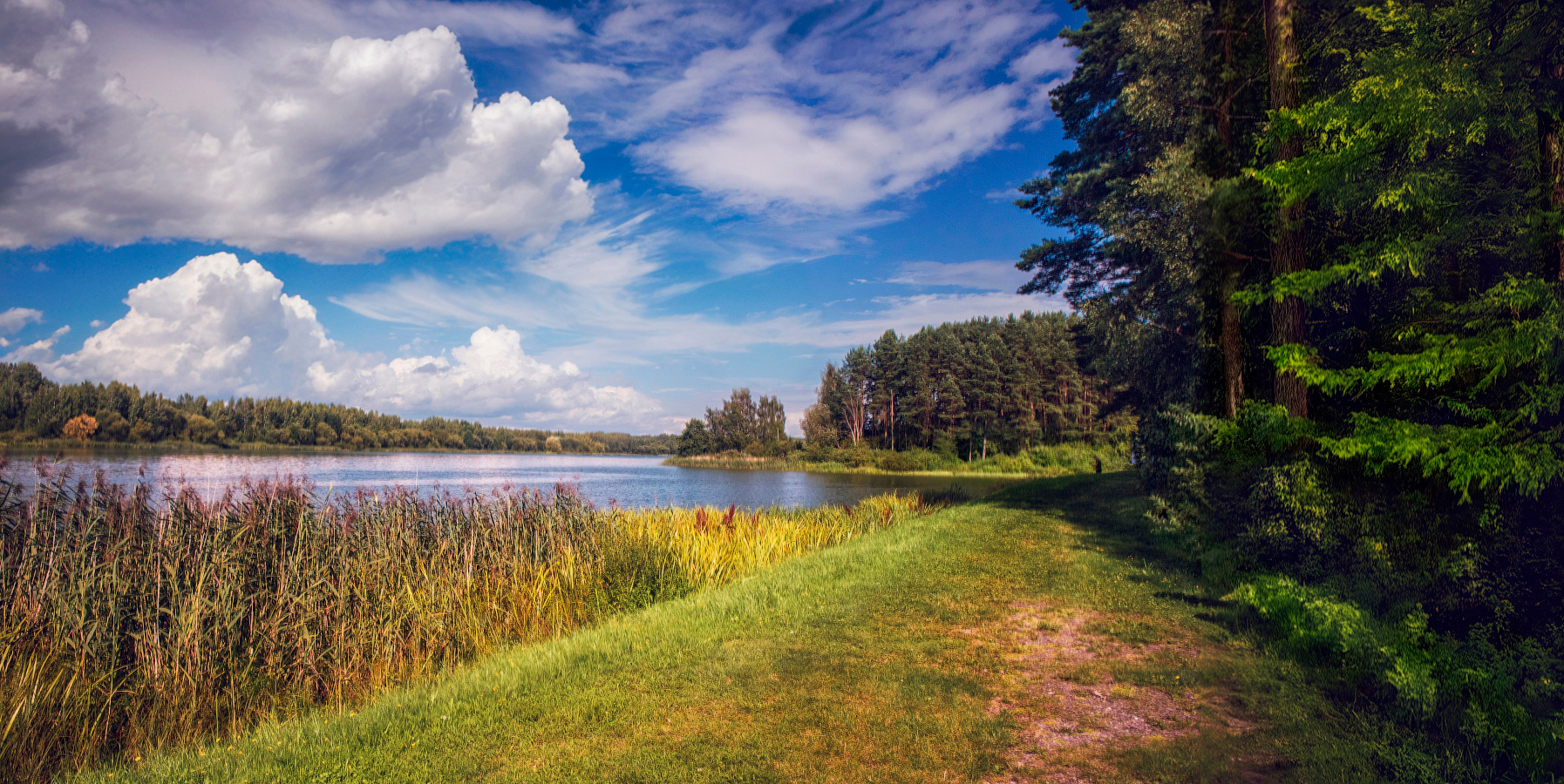 На берегу озера