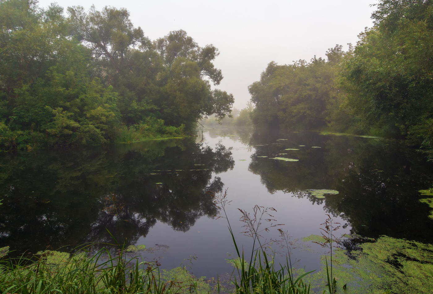 тихая заводь