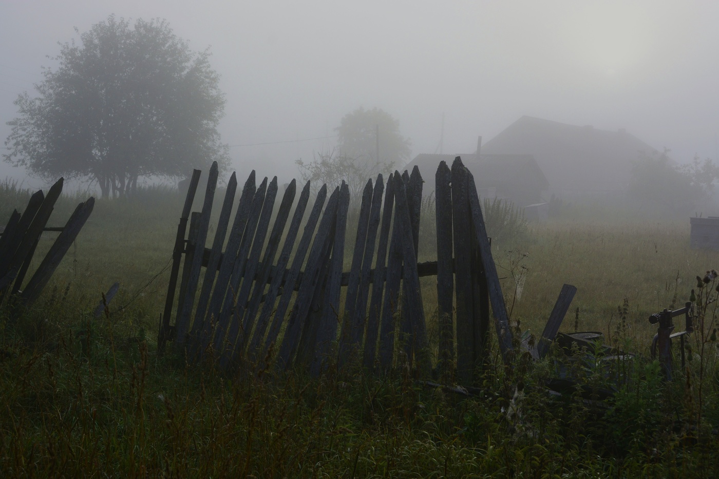 Август в деревне - раннее утро ...