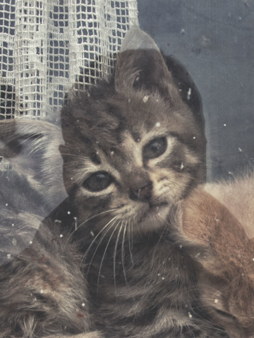 Жизнь вокруг