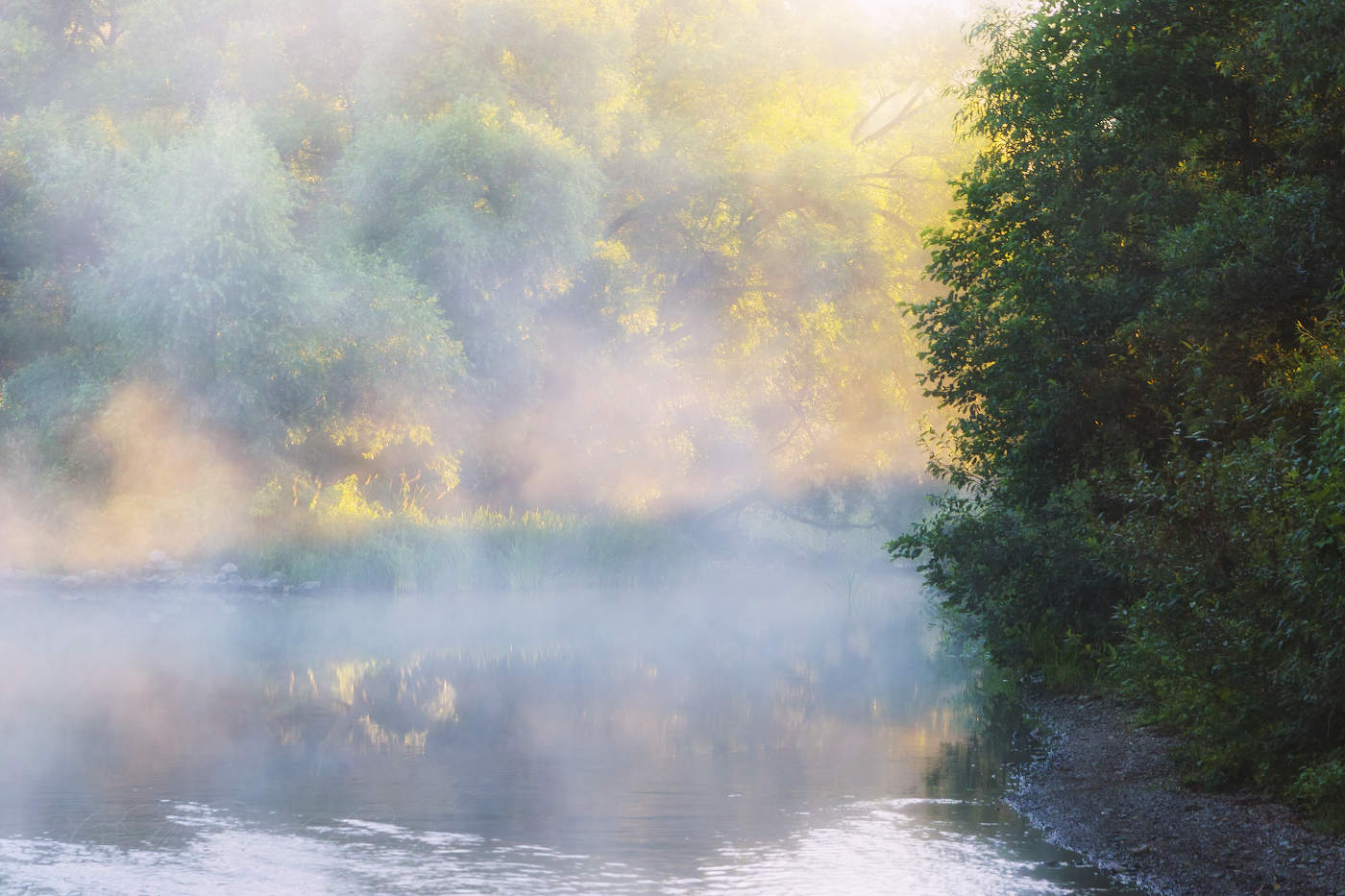 В солнечном тумане