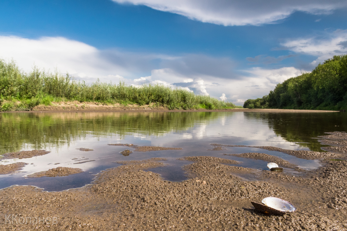 Солнечным днём у воды
