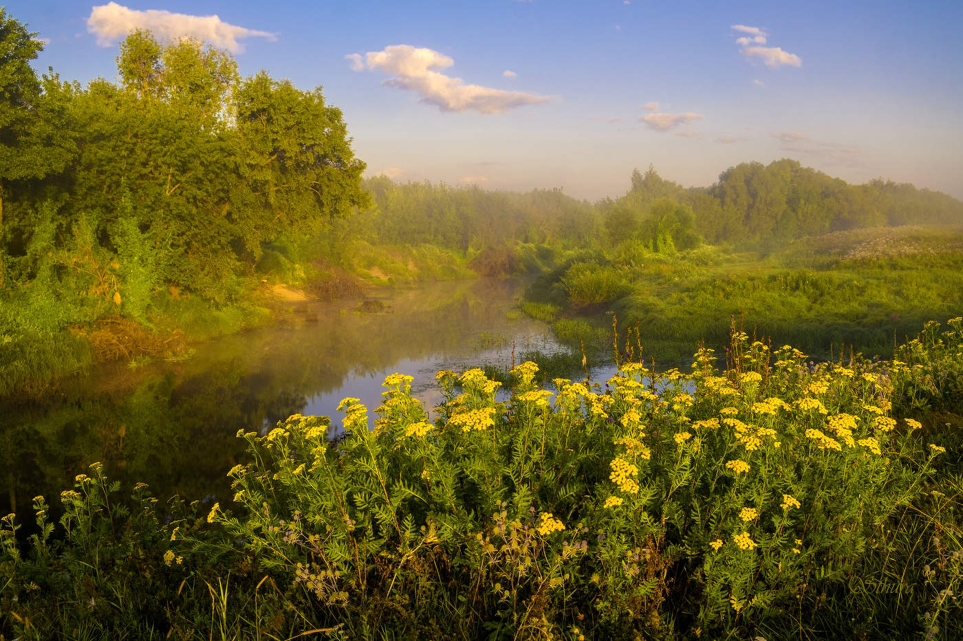 Летнее утро.