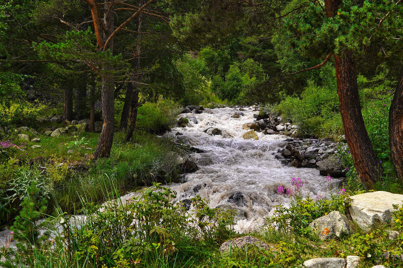 Река Терскол