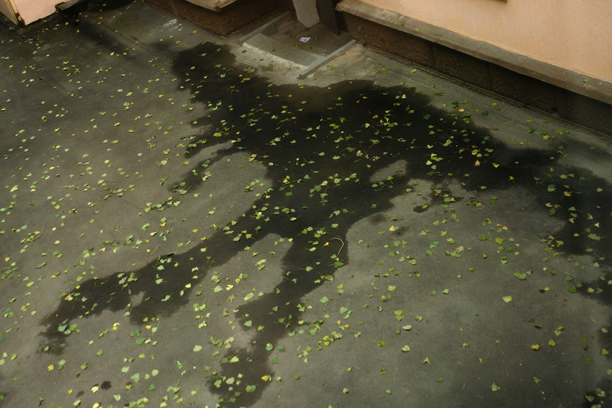 "Двор Юрского Периода"