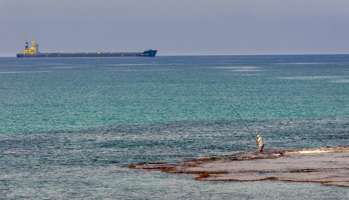 Будни моря...