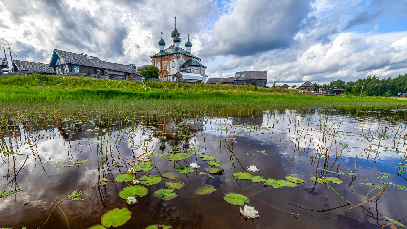 Утро с кувшинками