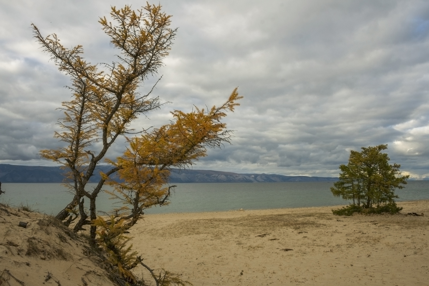 В песках Ольхона