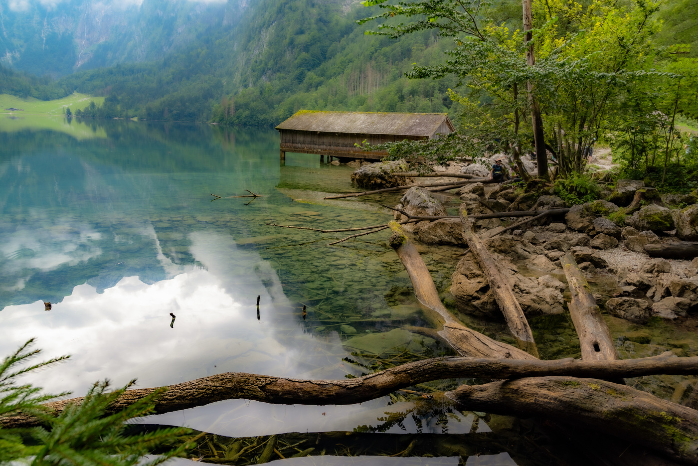 Этюд в зеленых тонах