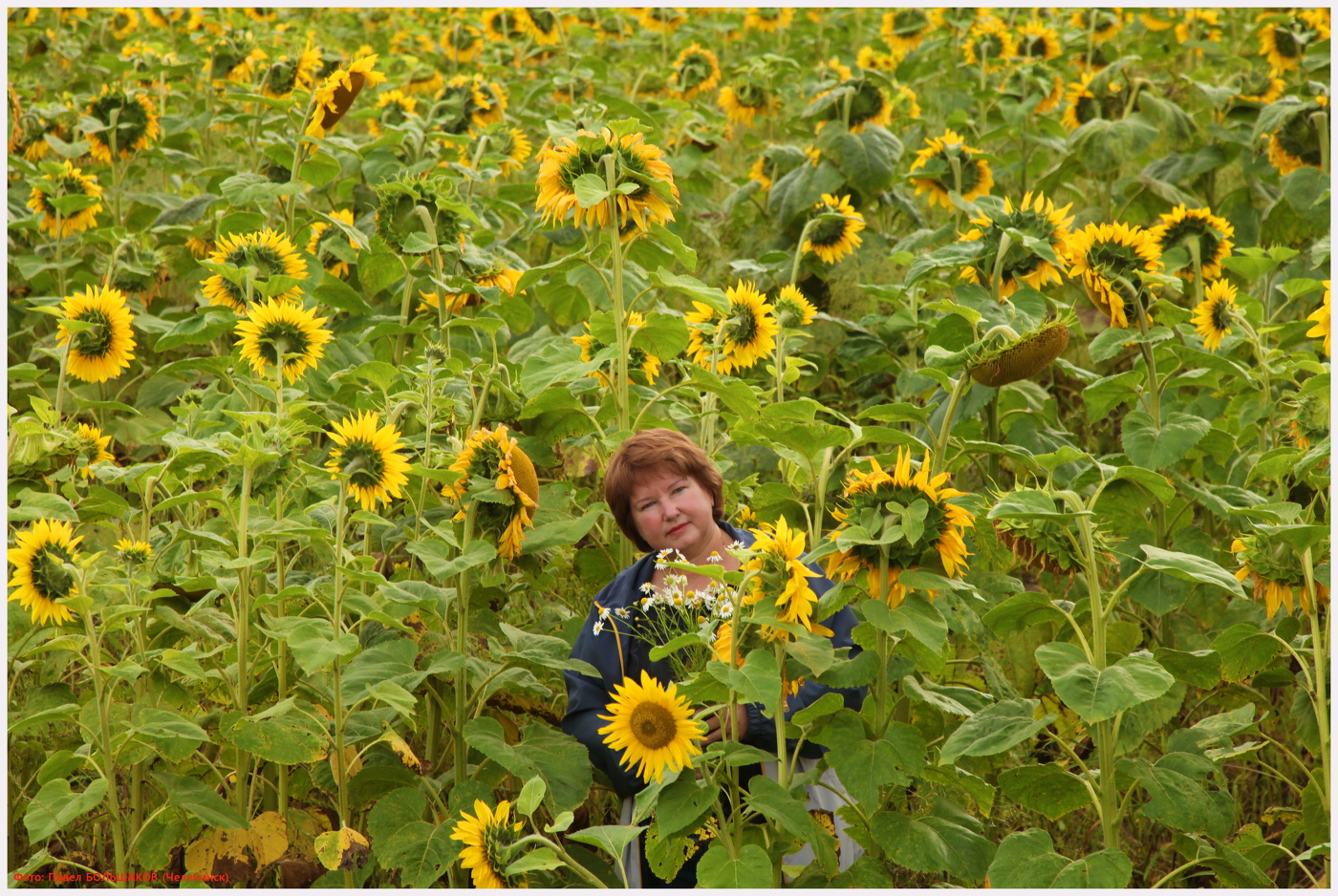 In gewisser Weise ...