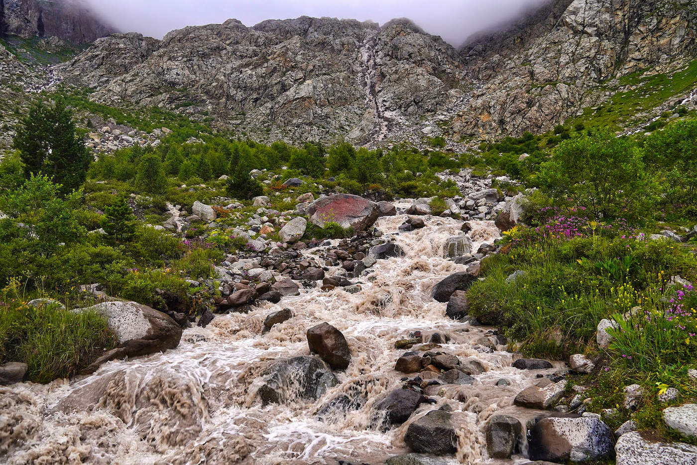 "Чистая вода альписких ледников"
