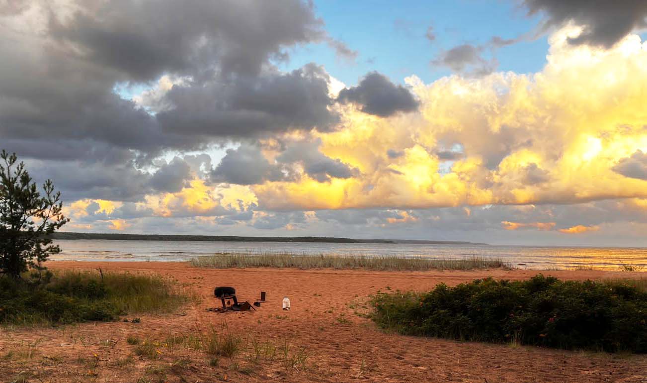 Бухта "Желтая"