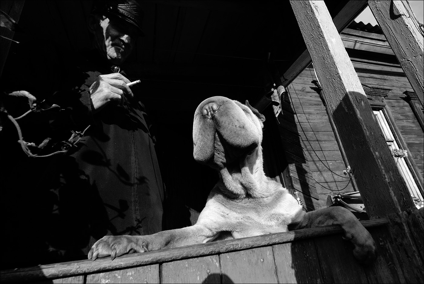 этюд с сигаретом