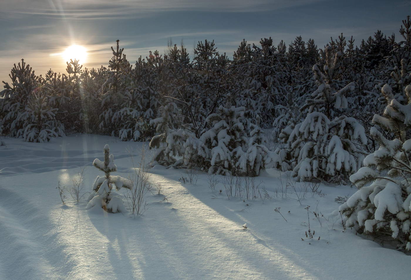 Вспоминая прошлую зиму