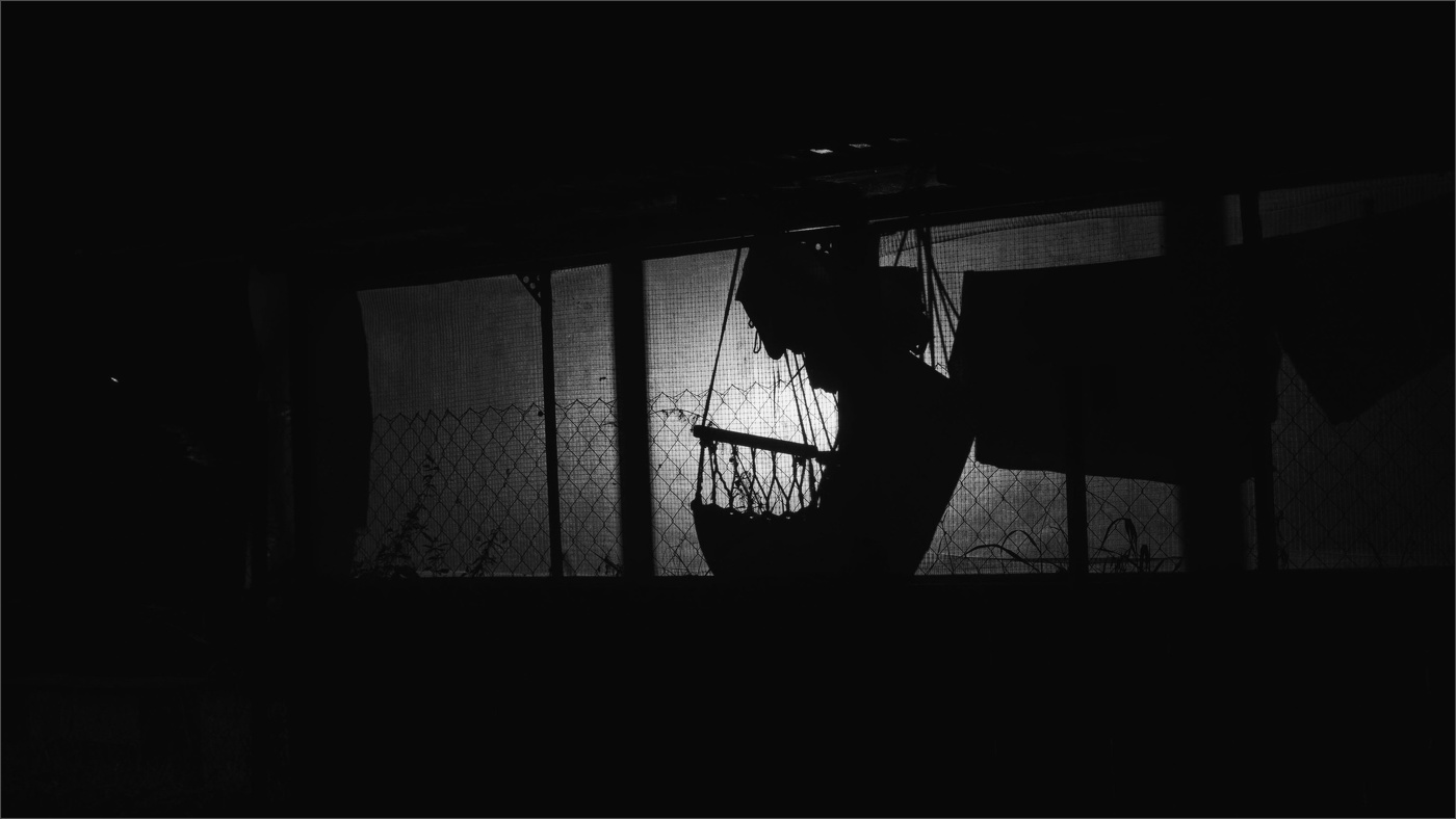 Жизнь вокруг