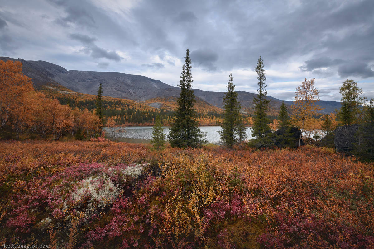 "Осенние Хибины"