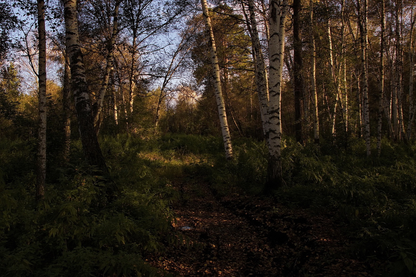 **Августовский вечер.*