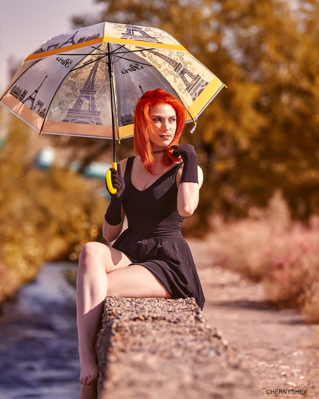 из альбома "Упавшее Солнце."