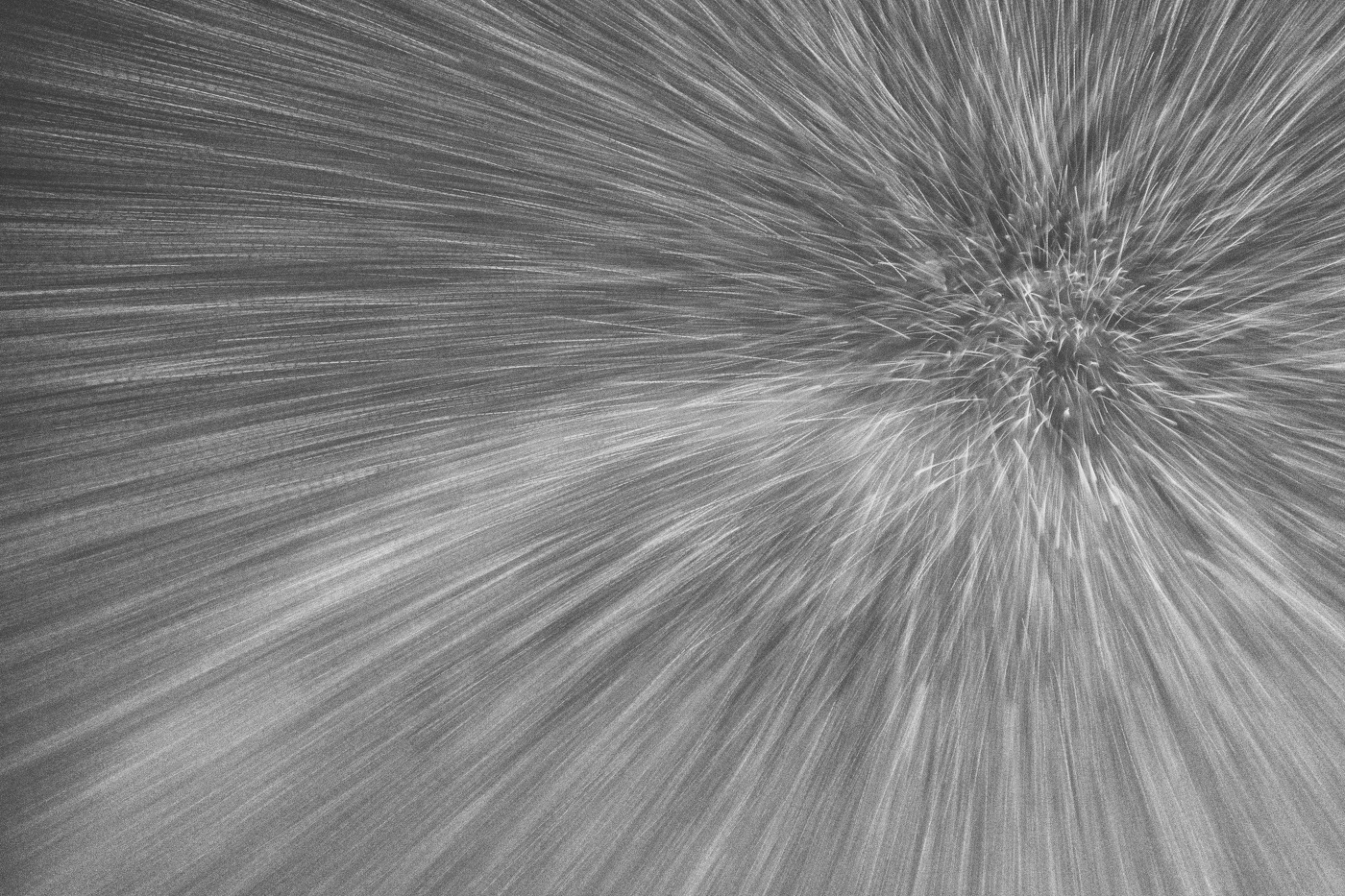 Жизнь вокруг