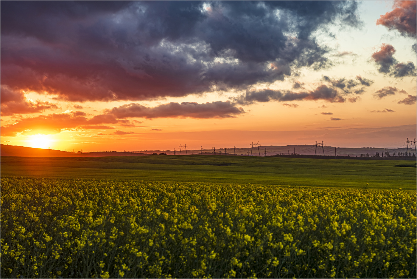 Вечерняя зорька