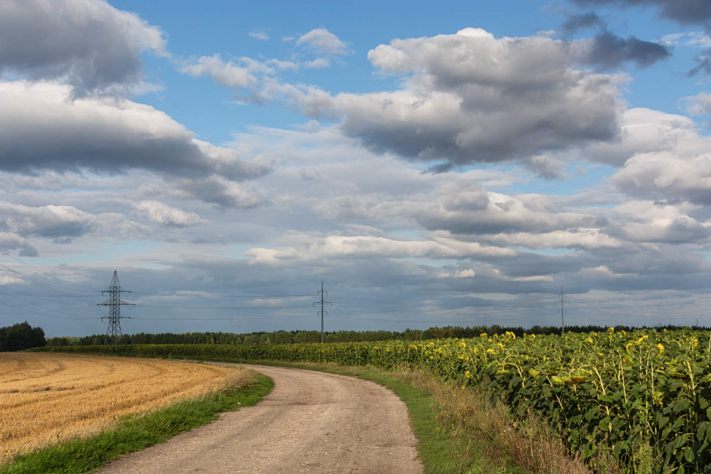 Дорогами августа...