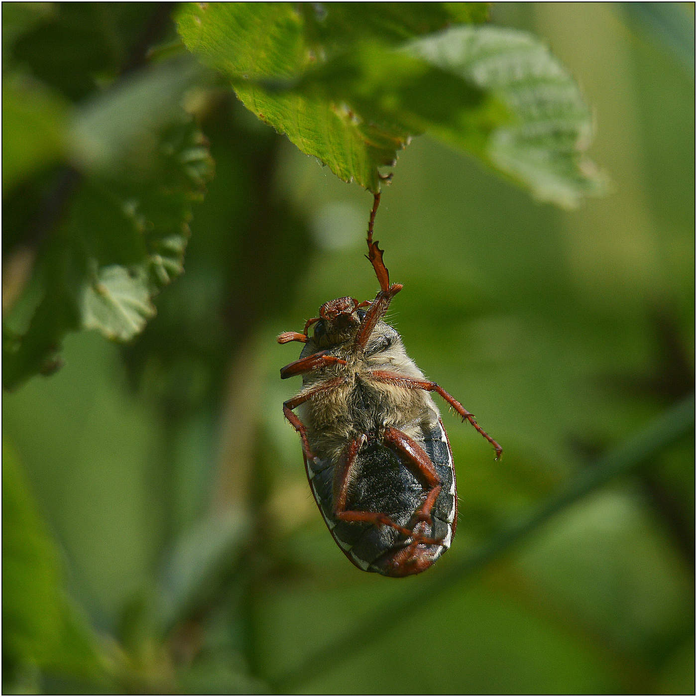 "Одной левой".