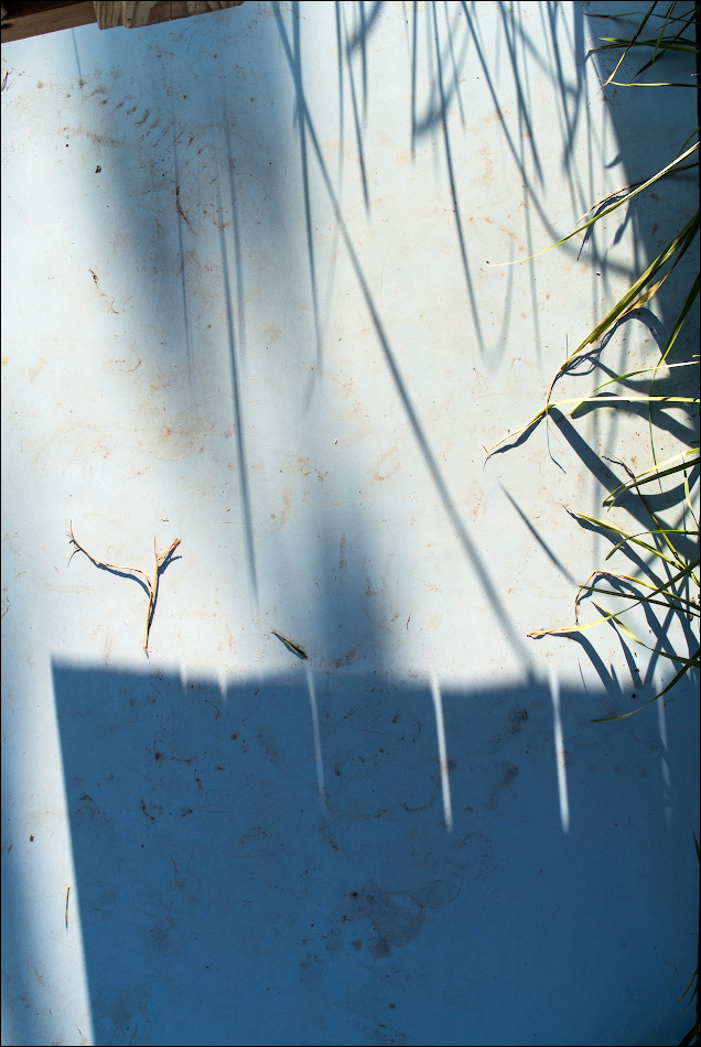 свободная тема