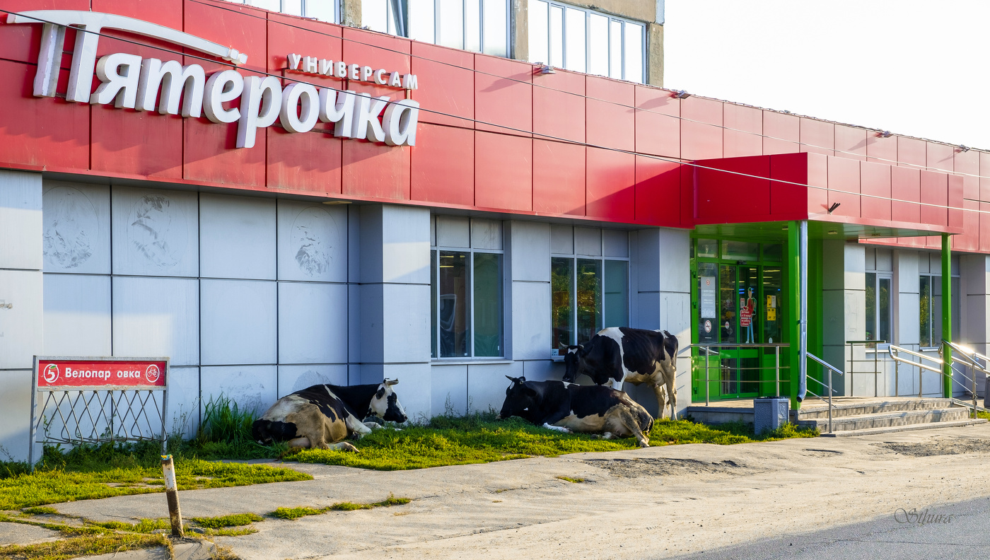 Молоко доставили.