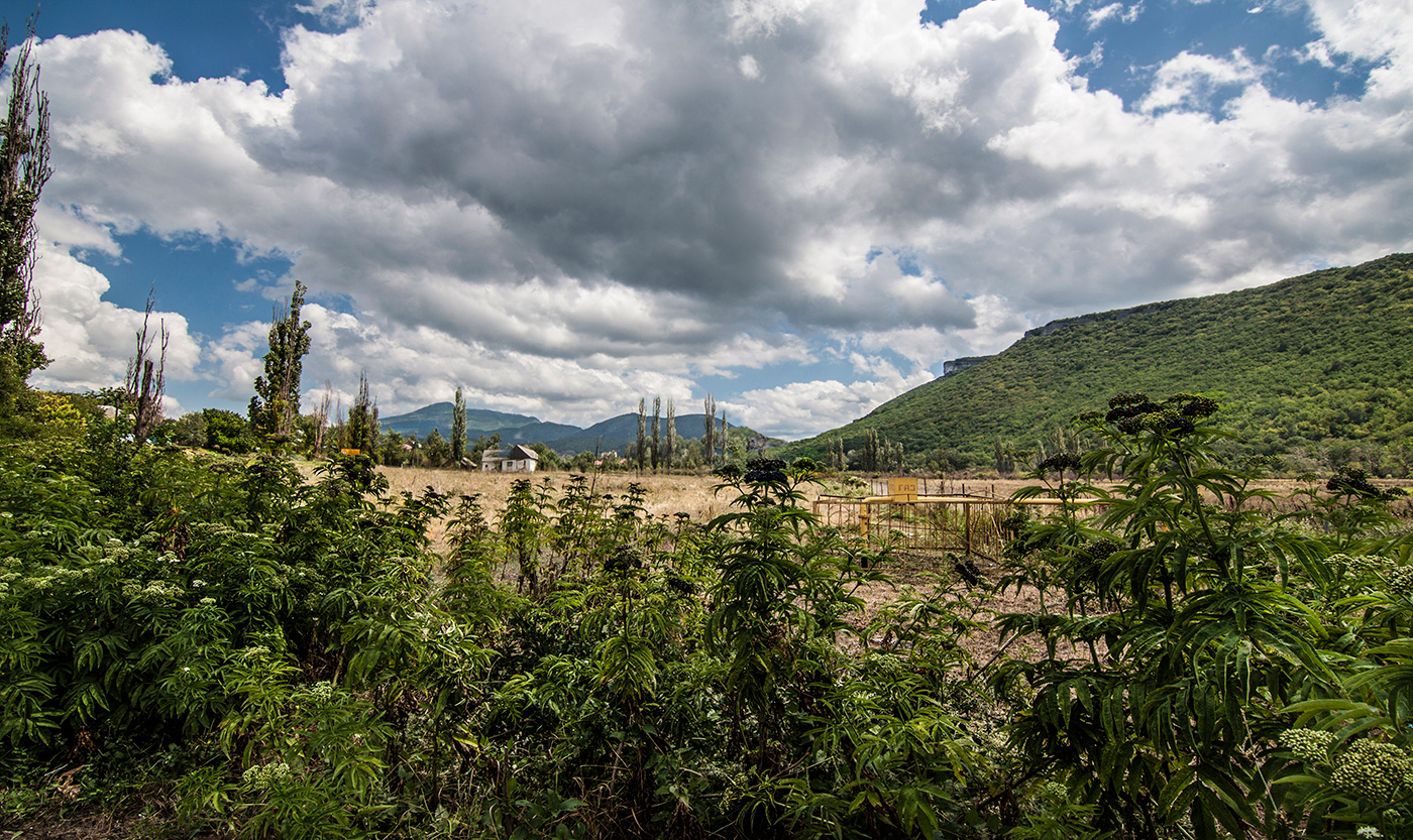 Долина Предгорная