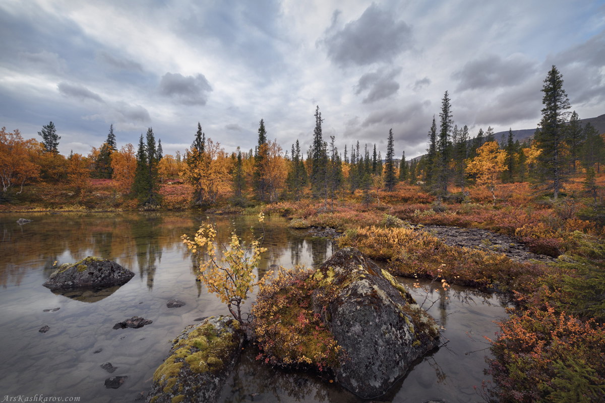 "Осенняя палитра Хибин"