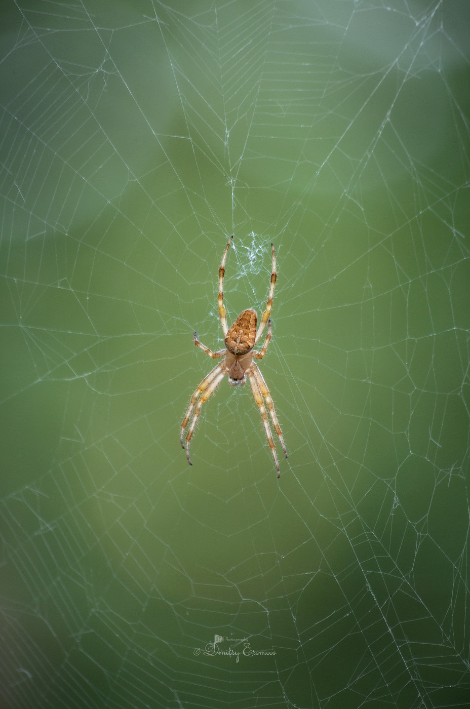 В ожидании...