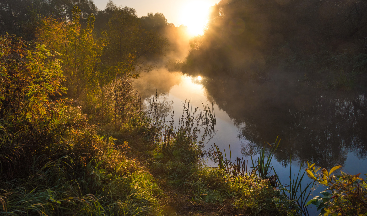Утро на речке.