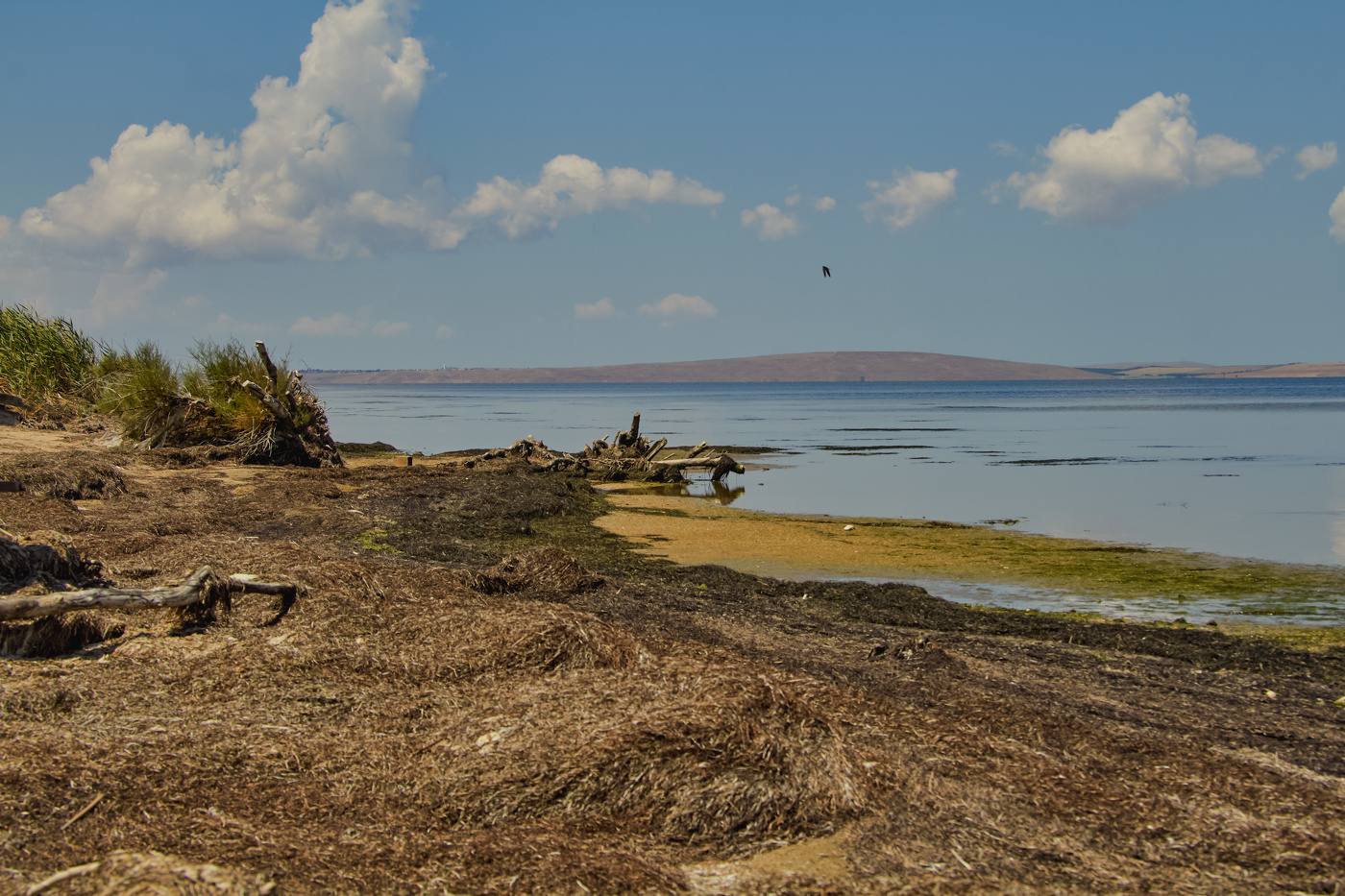 Просто уходило Лето