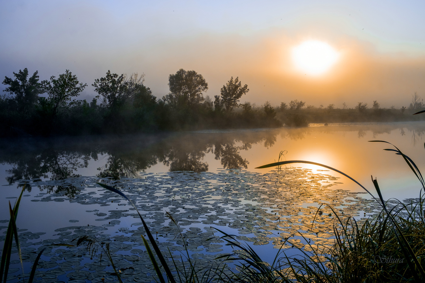 Озеро Сосновое.