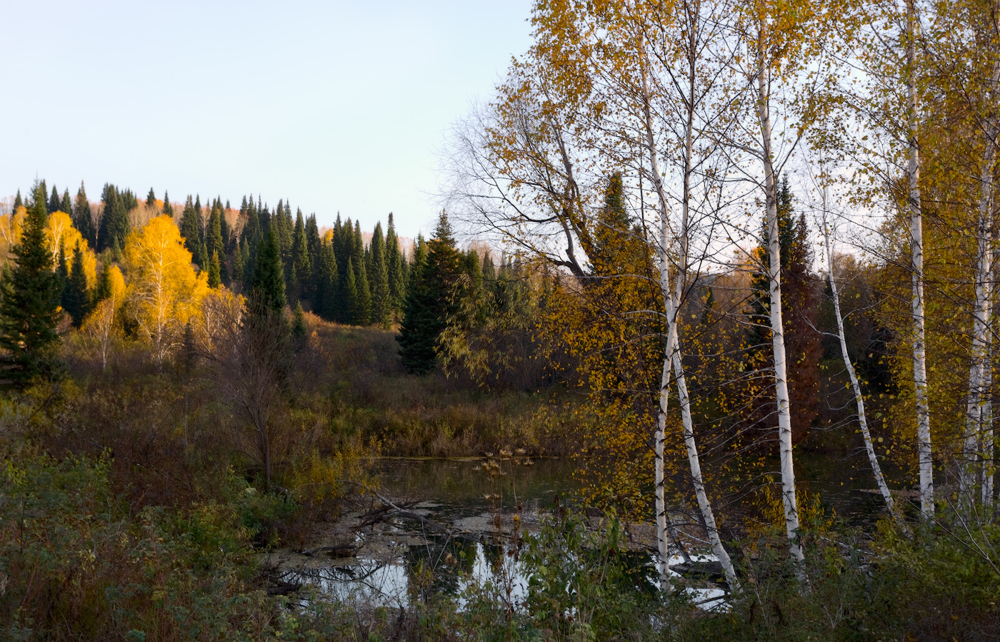 Осенний вечер