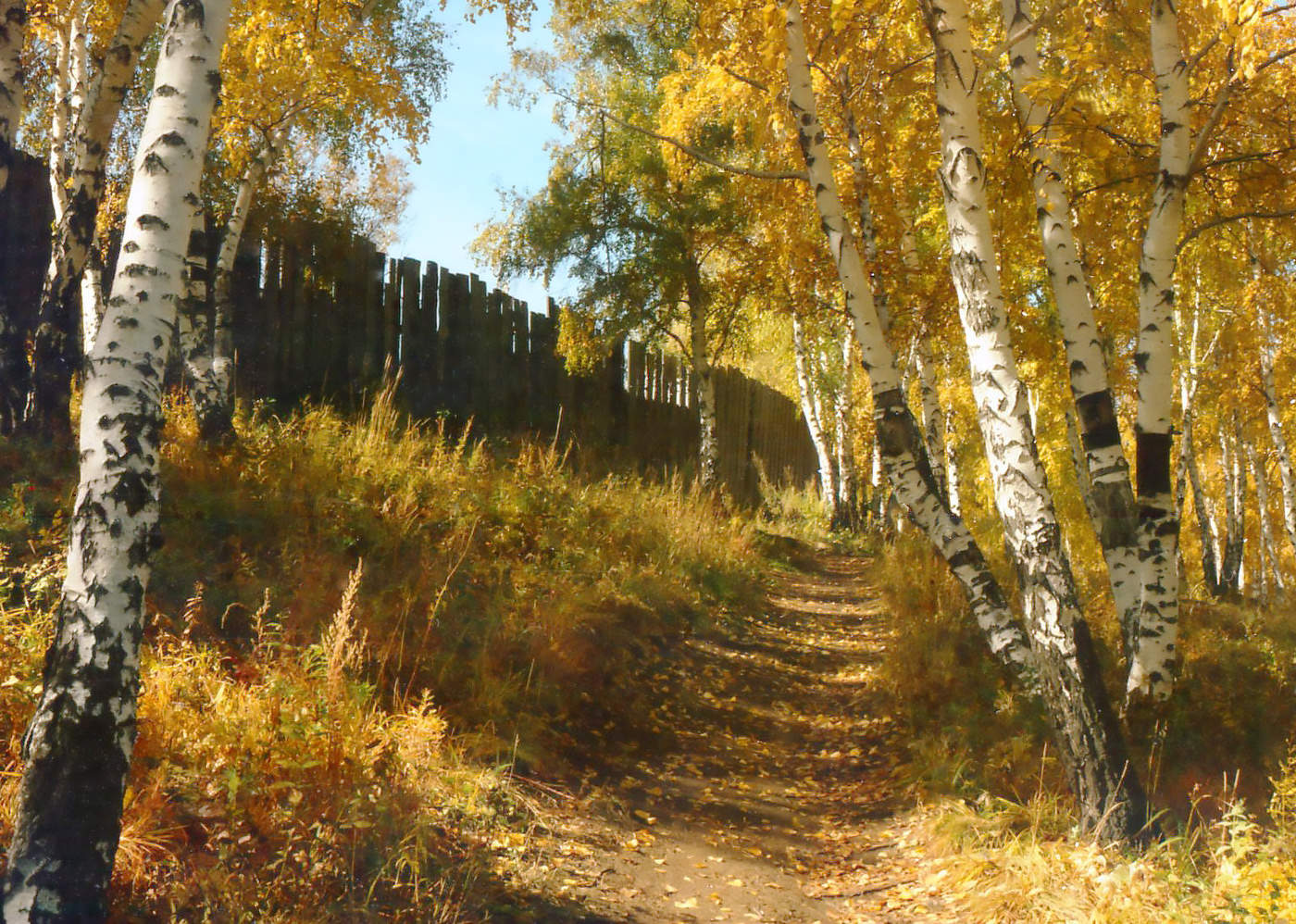 Скоро осень.За окнами август...