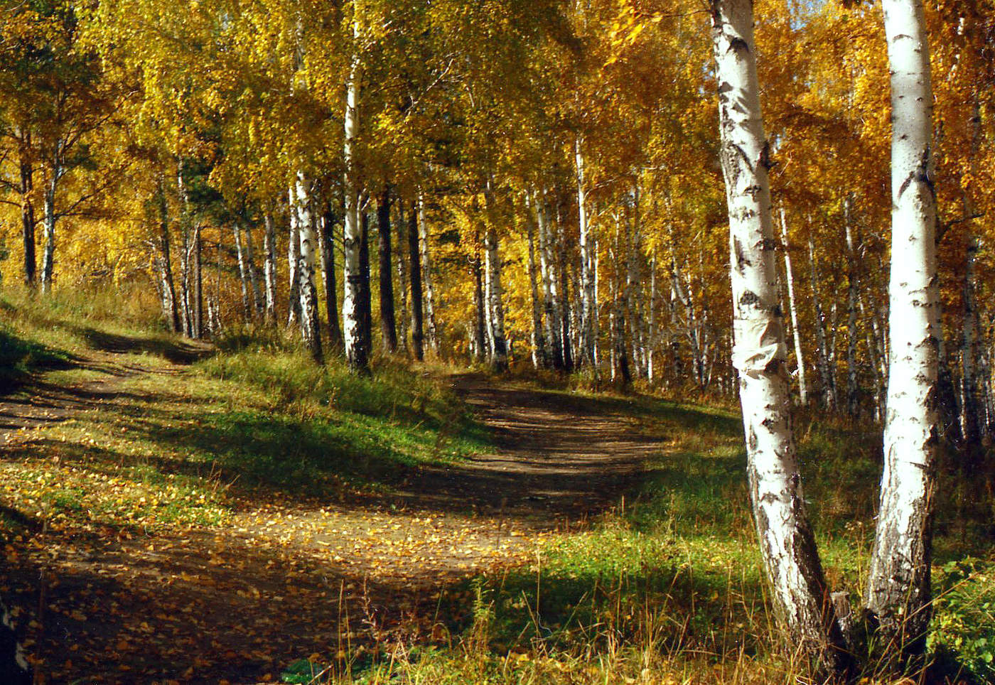 Скоро осень господа...