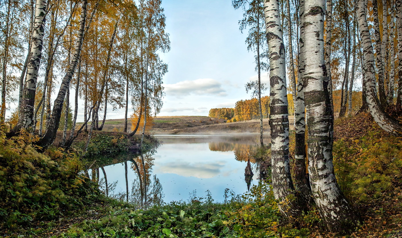 Вот и лето кончилось.....