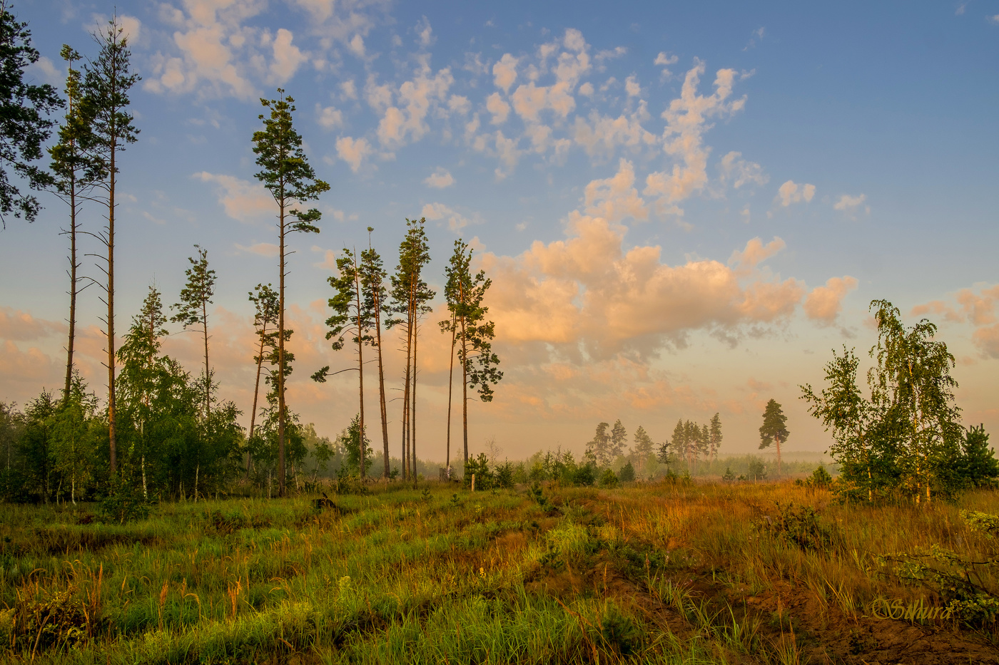 На восходе.