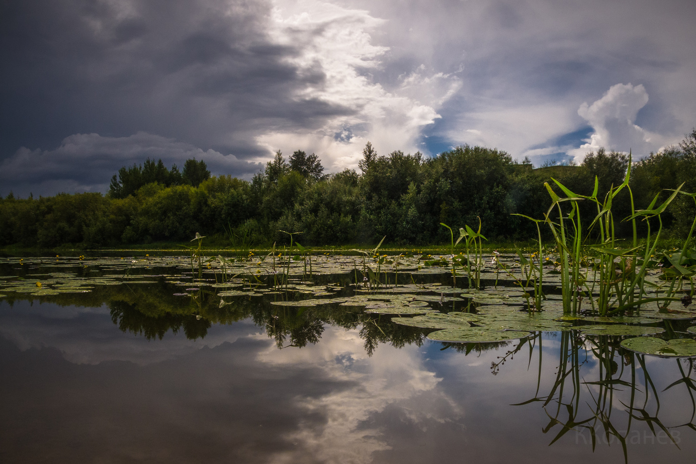 Скоро дождь