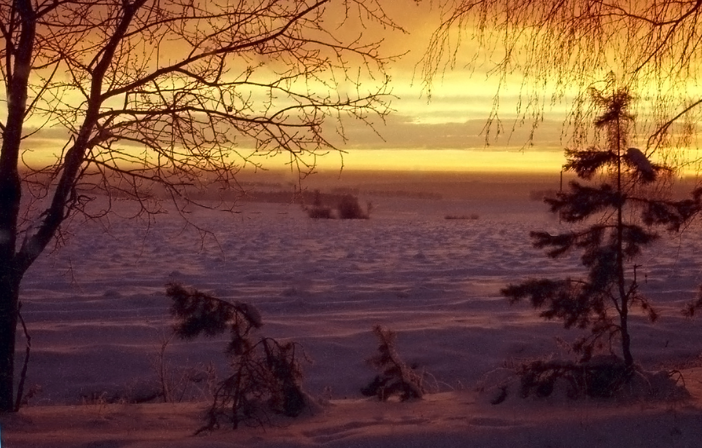 Вспоминая зиму