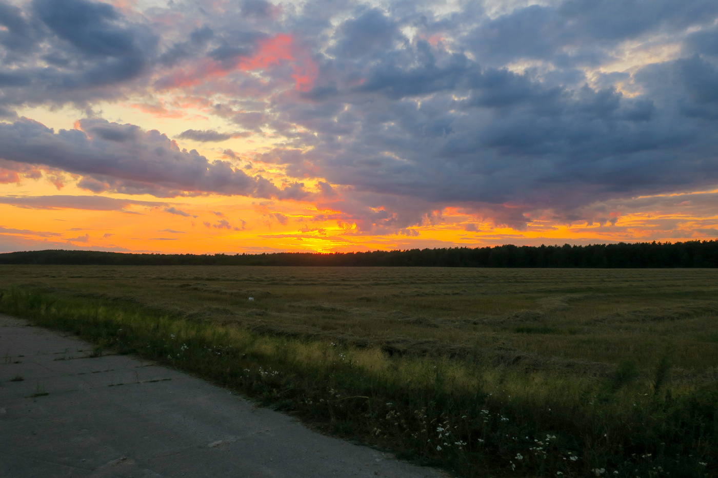 Осенние заказы