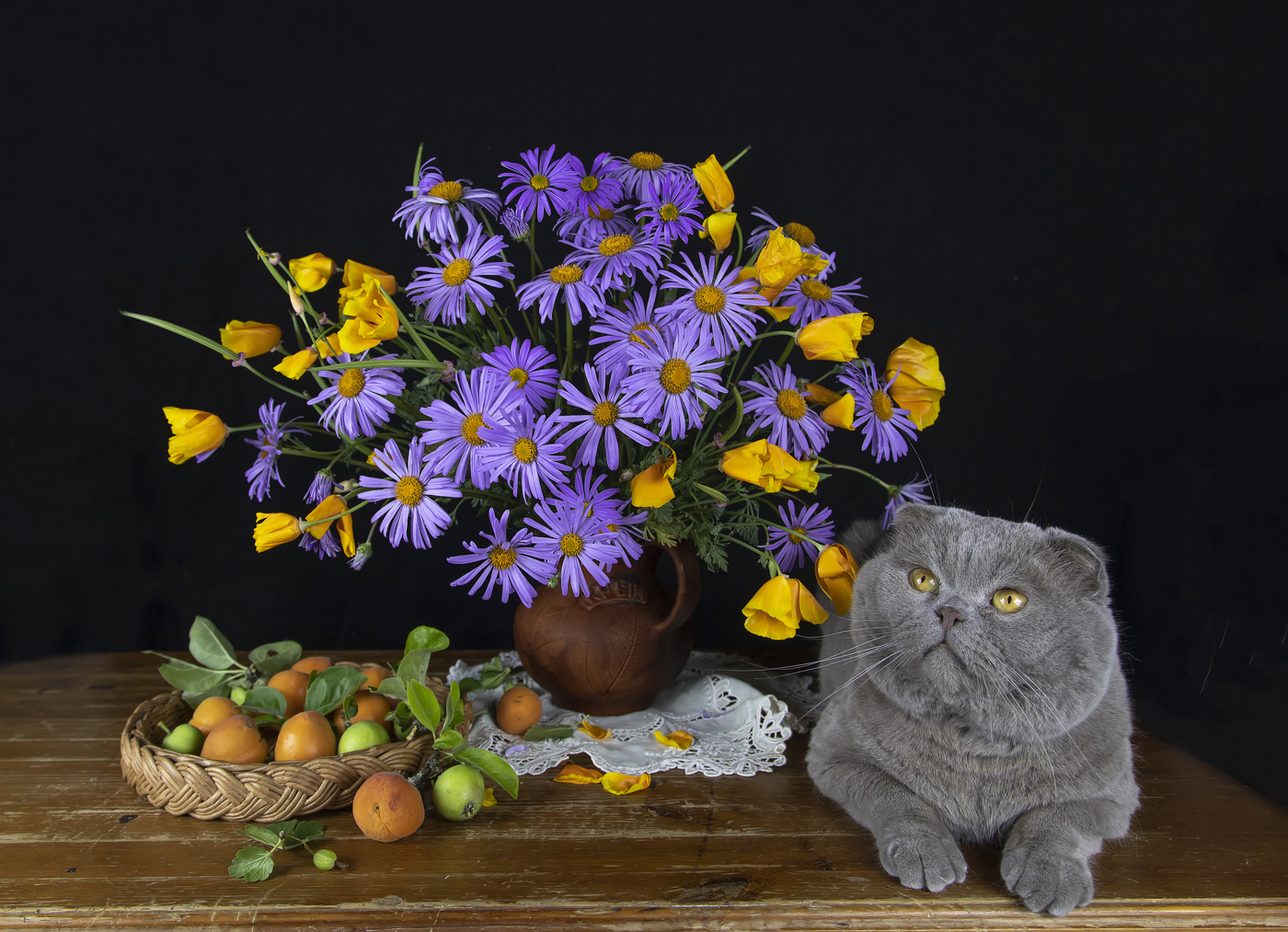 Коттюрморт)))